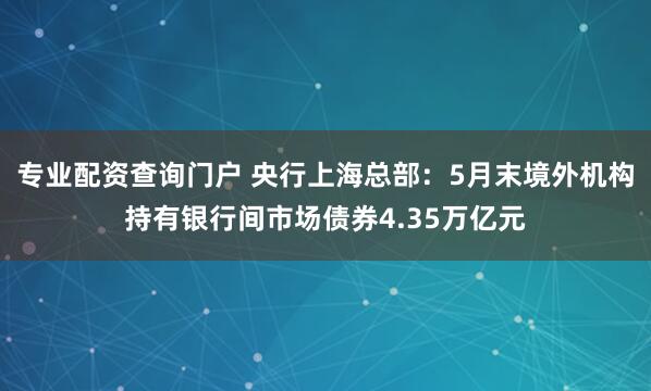 专业配资查询门户 央行上海总部:5月末境外机构持有银行间市场债券4.35万亿元