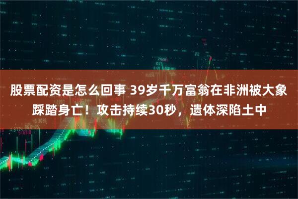 股票配资是怎么回事 39岁千万富翁在非洲被大象踩踏身亡!攻击持续30秒,遗体深陷土中