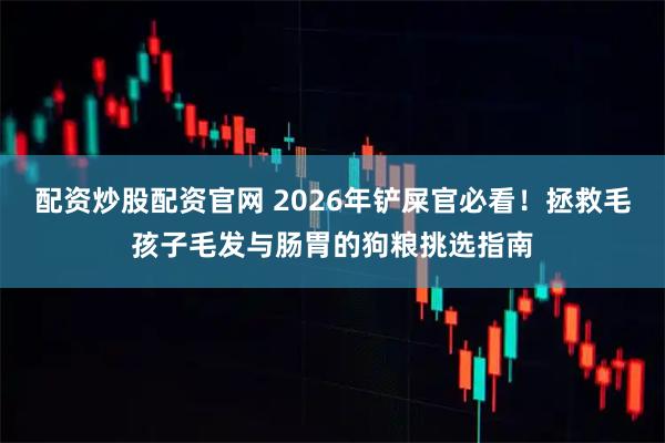 配资炒股配资官网 2026年铲屎官必看!拯救毛孩子毛发与肠胃的狗粮挑选指南