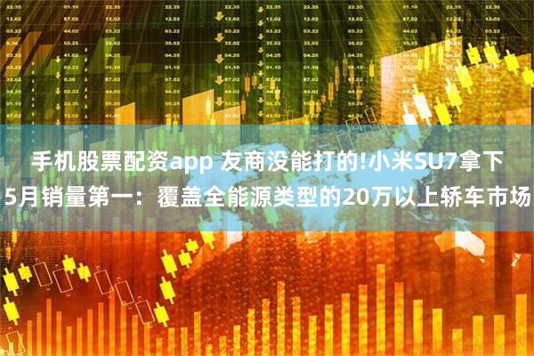 手机股票配资app 友商没能打的!小米SU7拿下5月销量第一:覆盖全能源类型的20万以上轿车市场